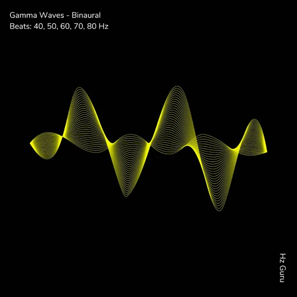40 Hertz — Hz Guru
