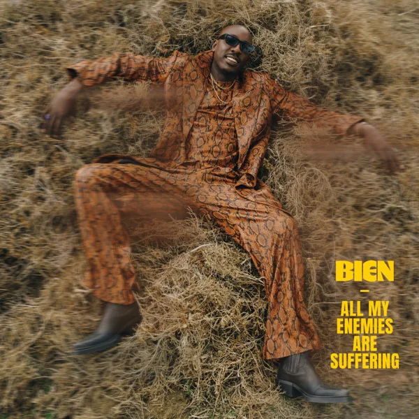All My Enemies Are Suffering — Bien