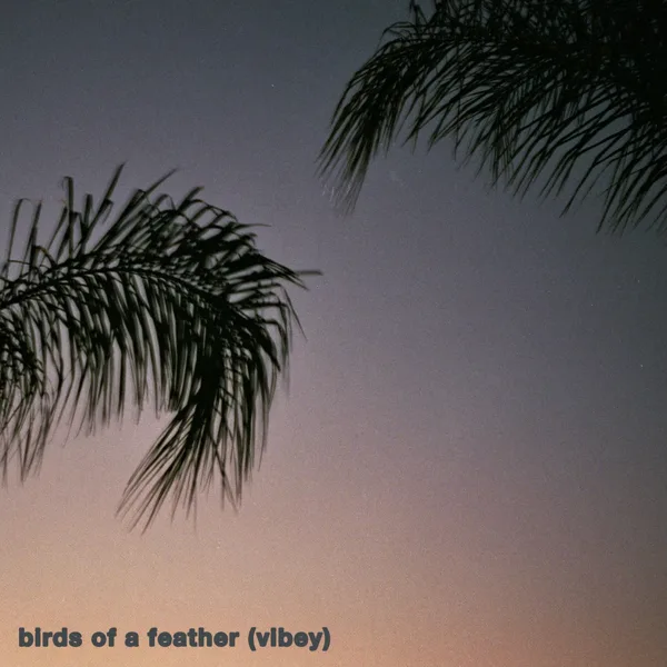 Birds of a Feather (Vibey) — Sunset Party