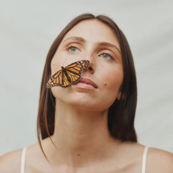 Butterfly — Lily Meola