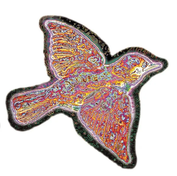Christmas Katie — Widespread Panic