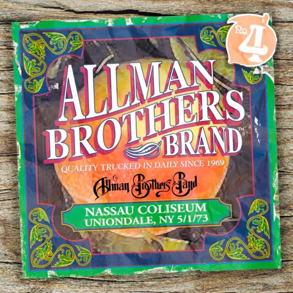 Come and Go Blues (Live at Nassau Coliseum, Uniondale, NY, 05/01/73) — The Allman Brothers Band