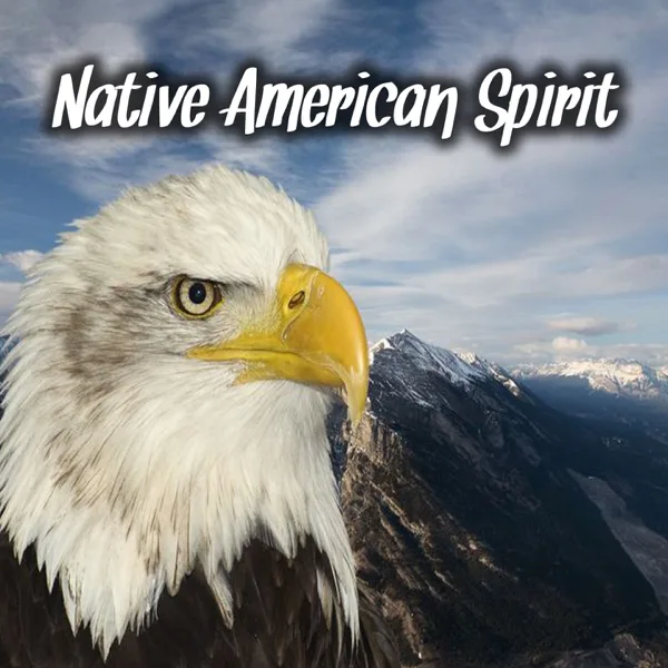 El Condor Pasa — Indian Calling