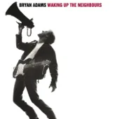 Cover art for (Everything I Do) I Do It for You — Bryan Adams