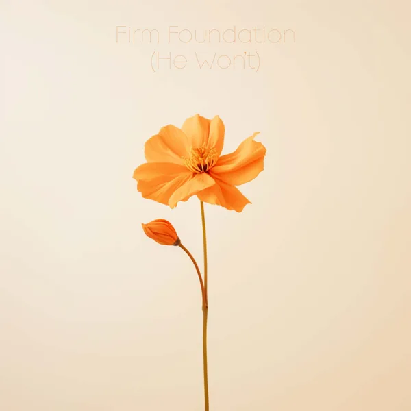 Firm Foundation (He Won't) — Anthem Worship, Genavieve Linkowski & Mass Anthem