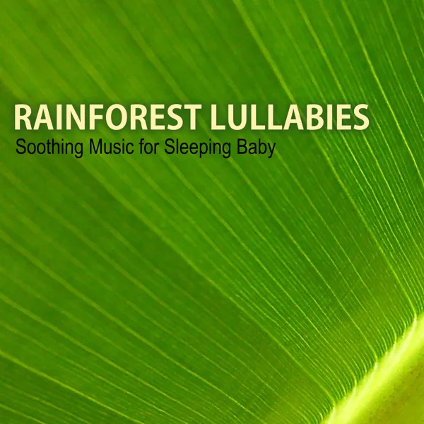 Heart of the Forest — Rainforest Music Lullabies Ensemble