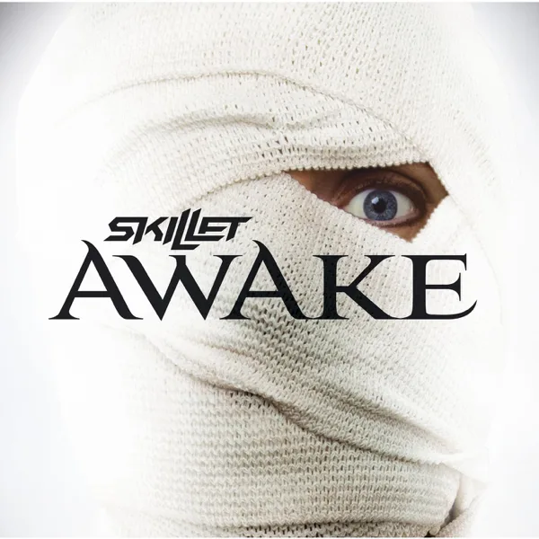 Hero — Skillet