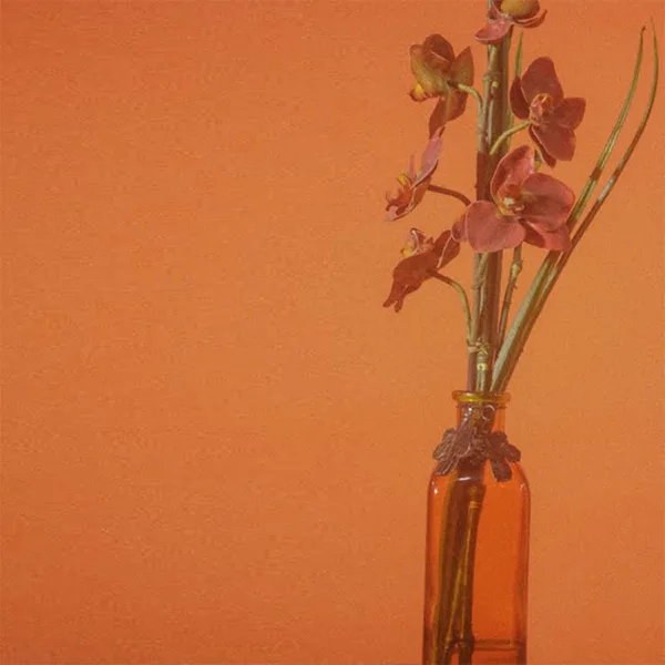 Hey Barbara — IV OF SPADES