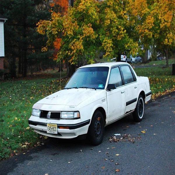 I Hate Every Driver On the Road Except For Me — Panucci's Pizza
