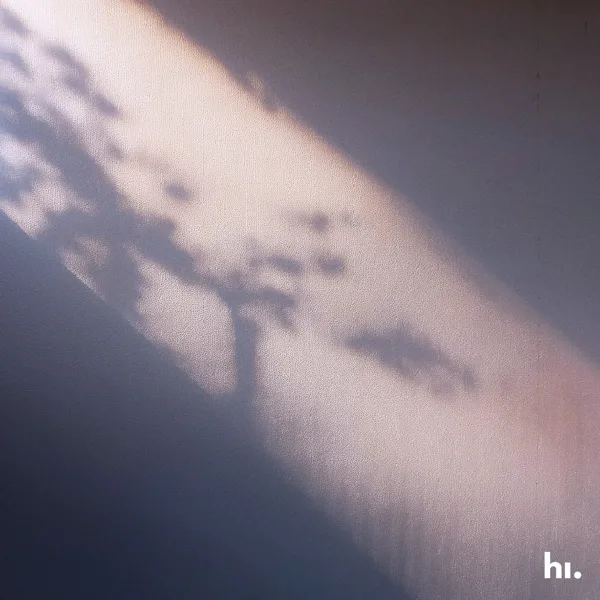 Little Moments — Reinúr Selson & himood