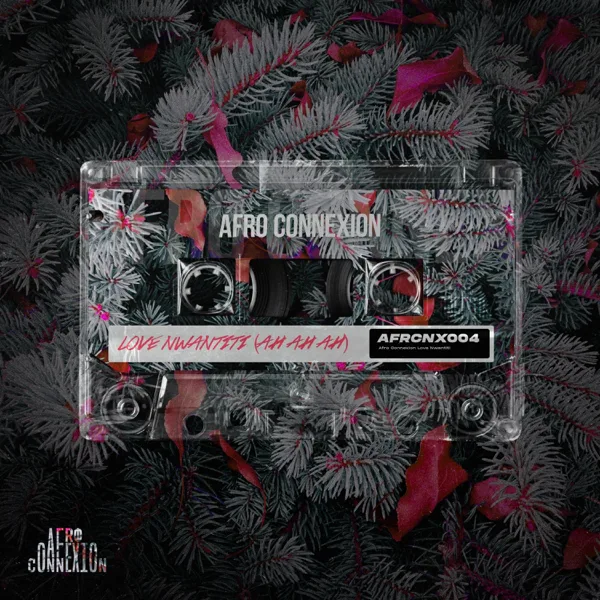 Love Nwantiti (Ah Ah Ah) — Afro Connexion