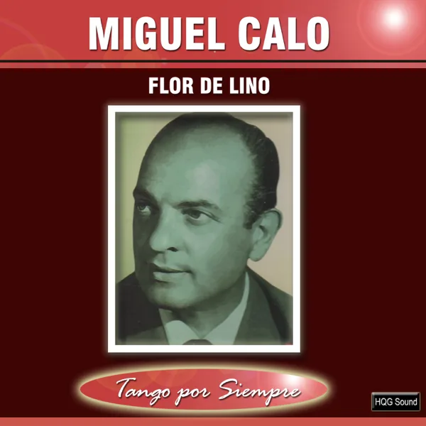 Mañana No Estarás (feat. Raul Iriarte) — Miguel Caló