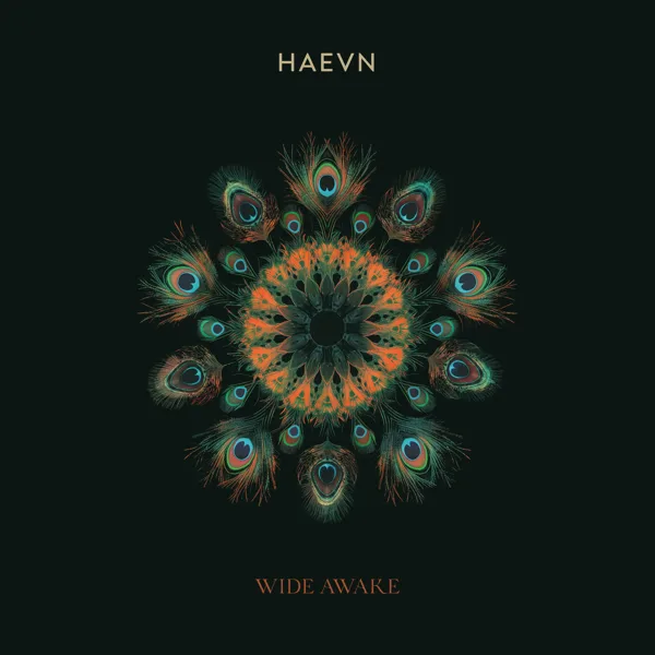New Year's Resolution — HAEVN
