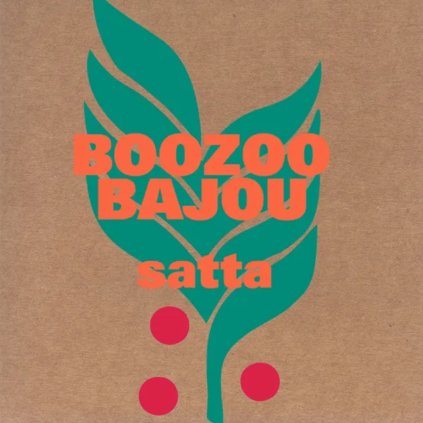Night over Manaus — Boozoo Bajou