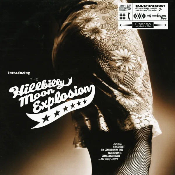 Remember (Walking in the Sand) — The Hillbilly Moon Explosion