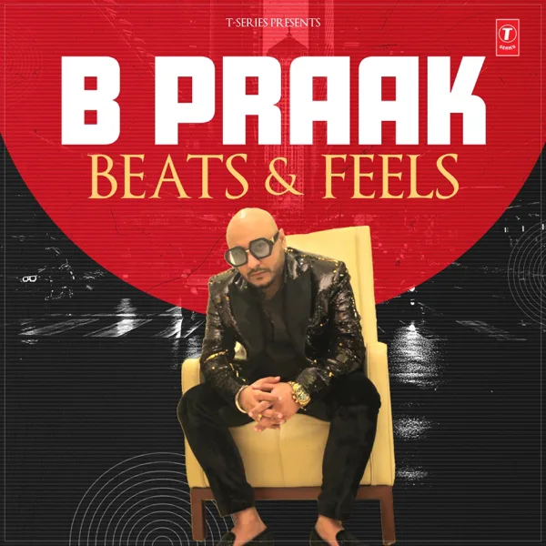 Saari Duniya Jalaa Denge (From "Animal") — B. Praak