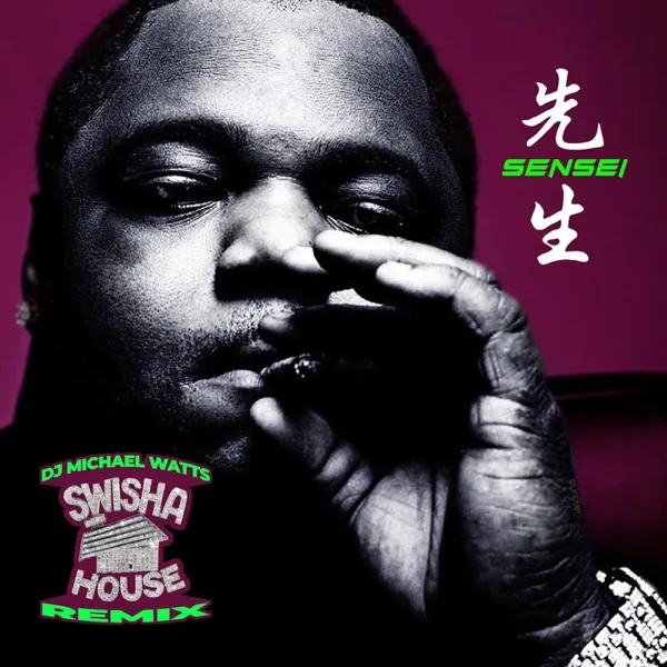 Sensei (Swisha House Remix) [feat. Ronnetta Spencer] — Big Pokey & Dj Michael Watts