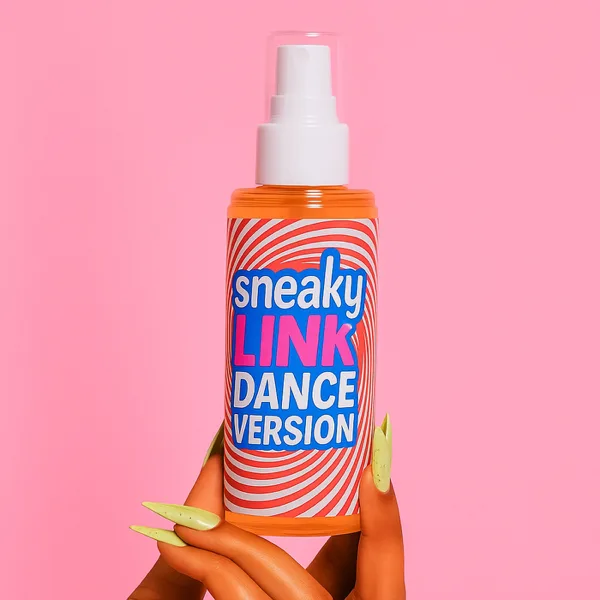 Sneaky Link (Dance Version) — Boi Chase