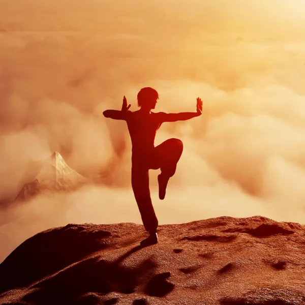 Tai Chi Master — FabianKreutzerSound