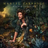Cover art for Tengo El Poder — Manuel Carrasco