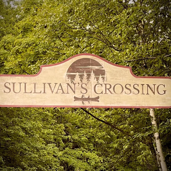 Time and Time Again (Sullivan's Crossing Theme Song) — WILD