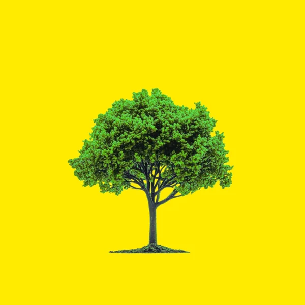 To be a tree — Moments yumi