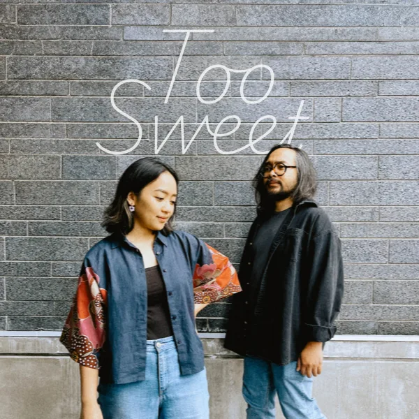Too Sweet — The Macarons Project