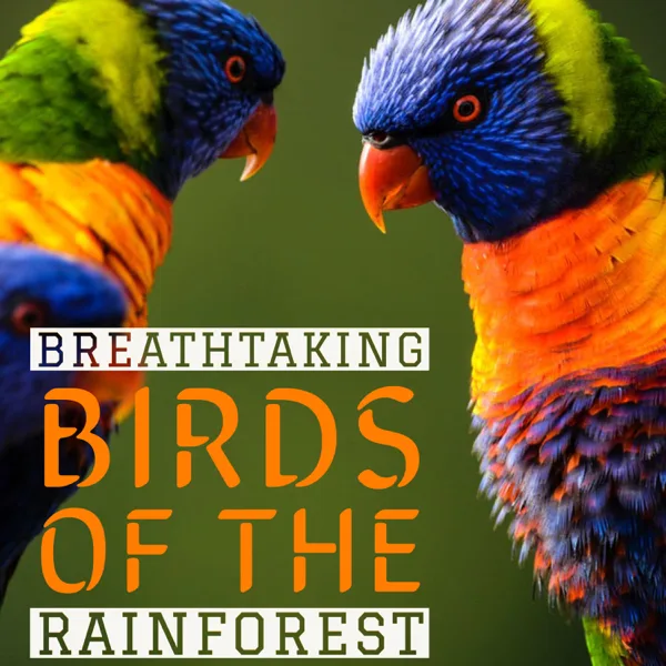 Tropical Jungle Sounds — Natural Sound Makers, Nature Recordings & Natural Sample Makers
