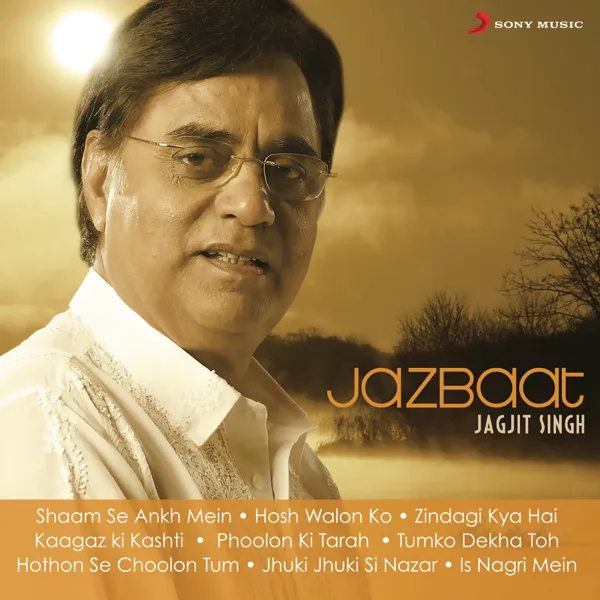Tumko Dekha (Edited) — Jagjit Singh
