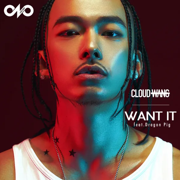 WANT IT (feat. Dragon Pig) — Cloud Wang