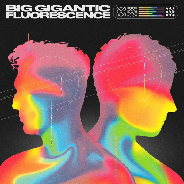 Woohaa — Big Gigantic, Little Stranger & HEYZ